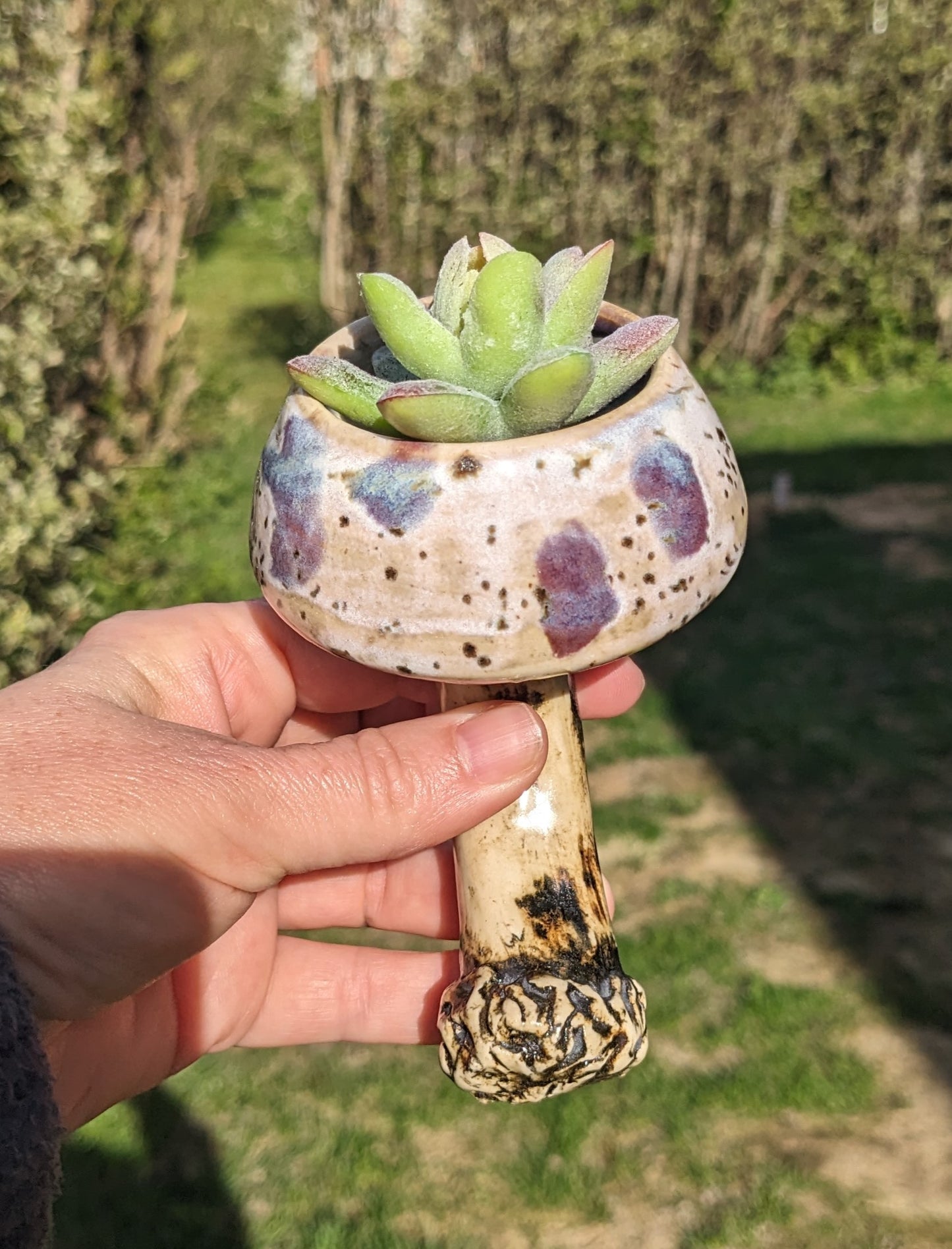 Handmade ceramic mushroom magnet with mini plant holder – Mushroom magnet succulent holder