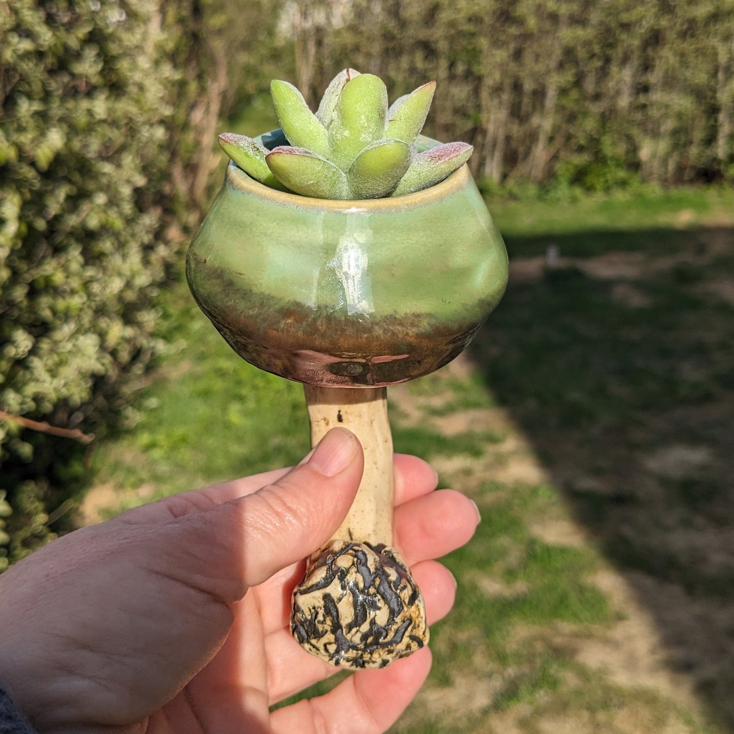 Handmade ceramic mushroom magnet with mini plant holder – Mushroom magnet succulent holder