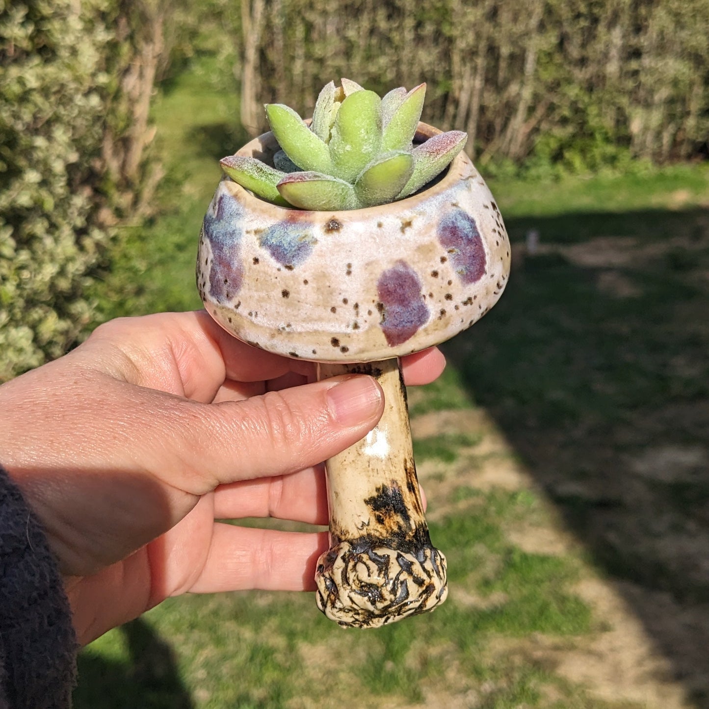 Handmade ceramic mushroom magnet with mini plant holder – Mushroom magnet succulent holder