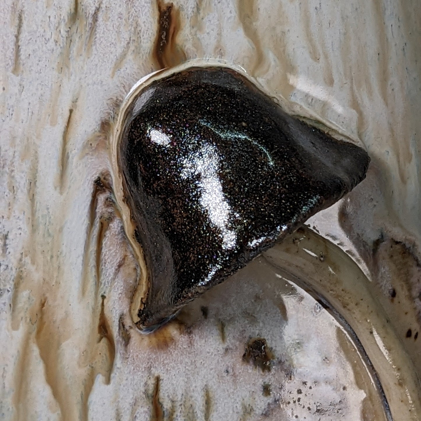 Skulpturell håndlaget keramisk vase med soppmotiv – Handmade Ceramic Mushroom Vase